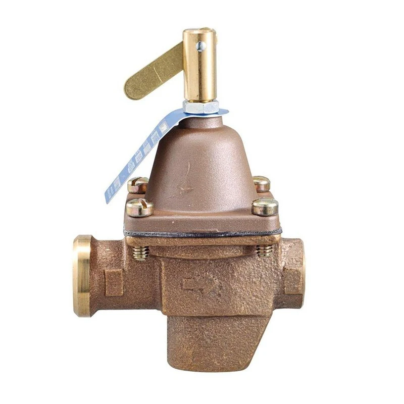 Watts Series 1156F 1/2 in. Feed Water Pressure Regulator | Ferguson